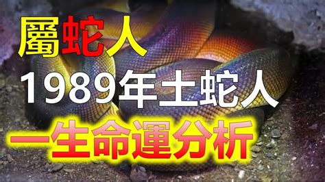 1989 屬蛇|1989年屬蛇人：一生的性格及命運